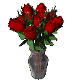 dozen_red_roses_expand_vase_md_clr.gif